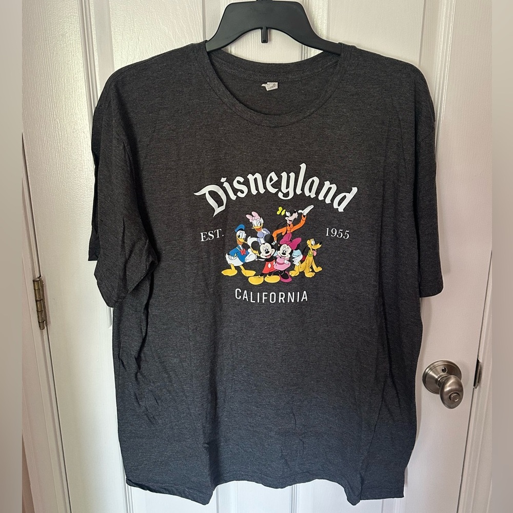 Gildan Disneyland Graphic Tee - Dark Gray